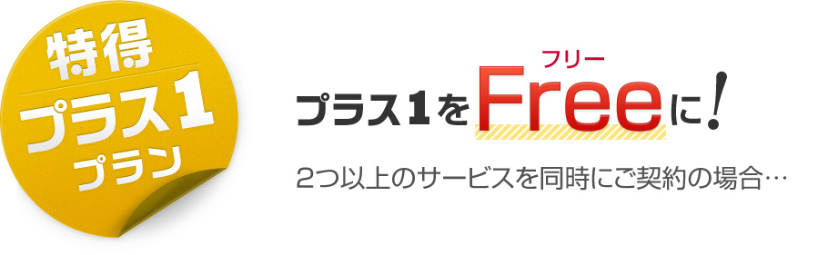 2つ以上のサービスをご契約いただいた場合、プラス1契約の月額3ヶ月分の費用を無償とさせていただきます！